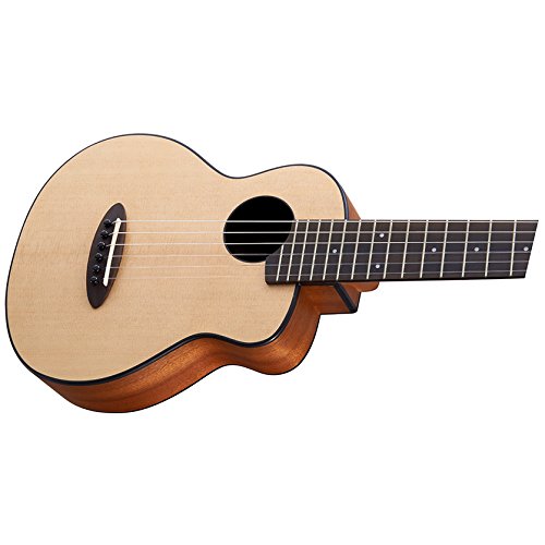 Amazon.co.jp: aNueNue Mini Acoustic Guitar aNN-S10 : Musical